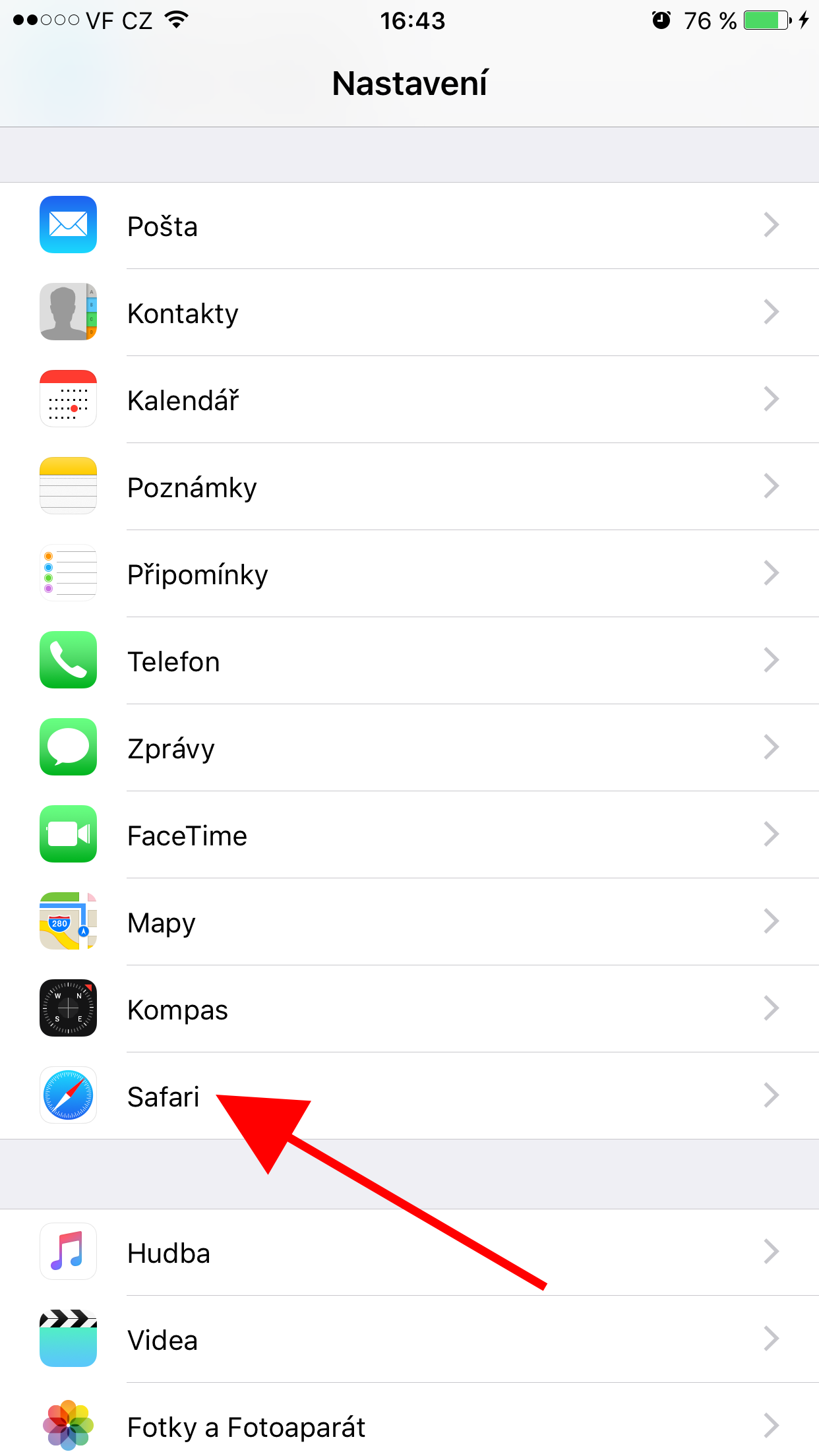 settings safari option