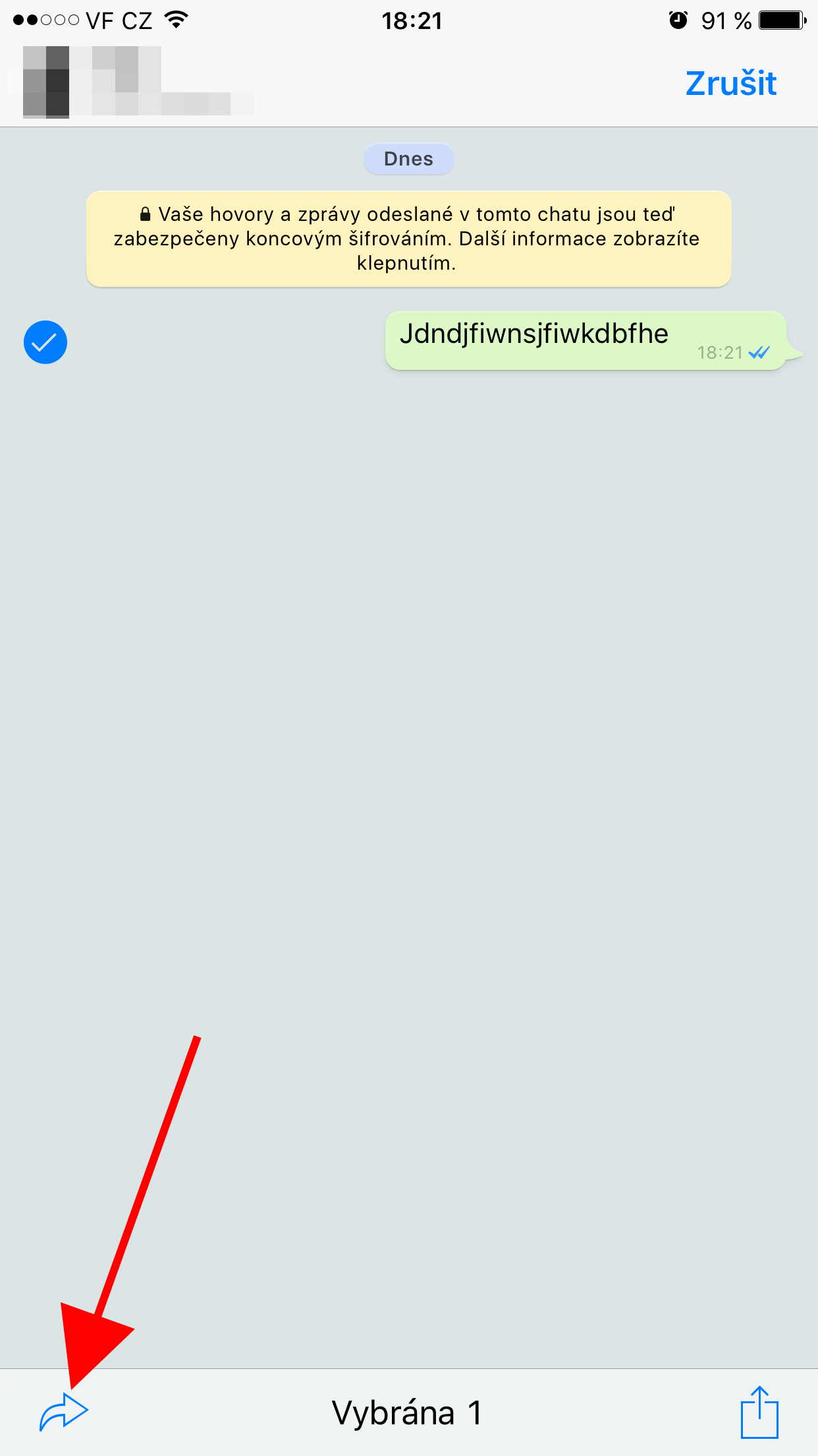 whatsapp share option