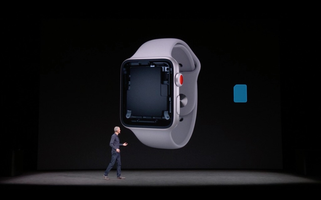 apple watch internal view