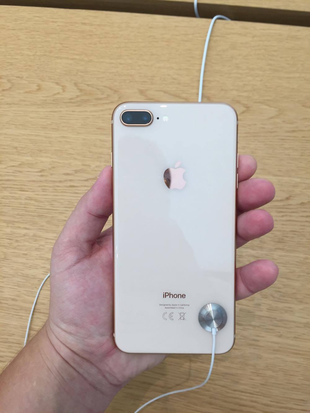 hand holding gold iphone dual camera