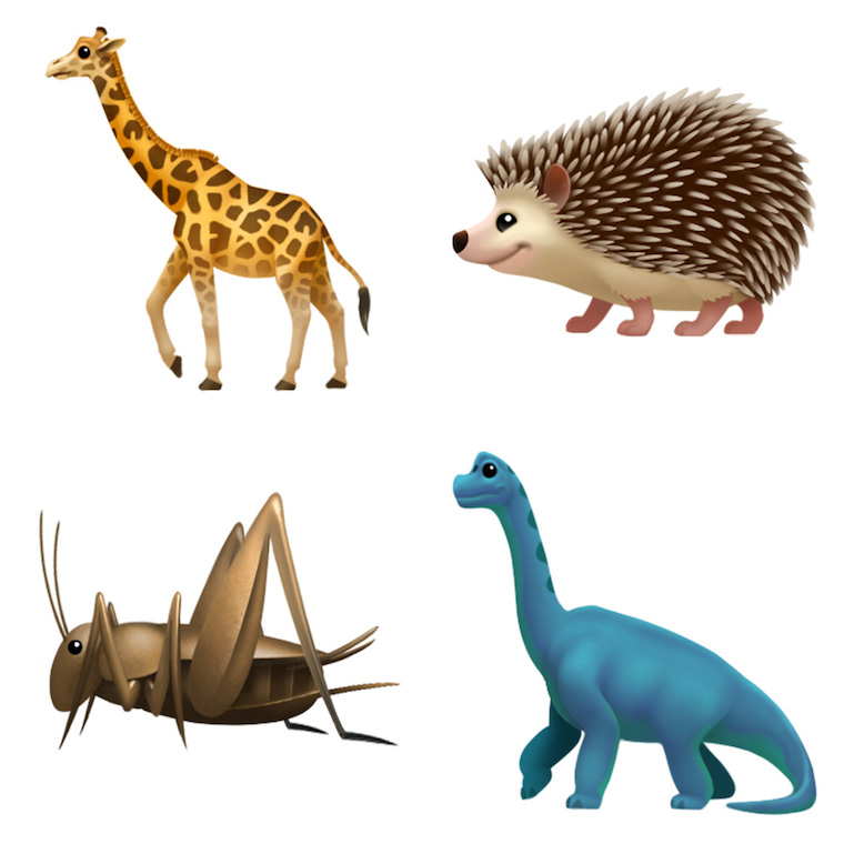 animal illustrations giraffe hedgehog