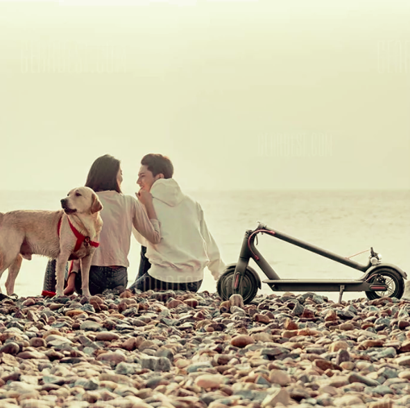 couple with dog and scooter