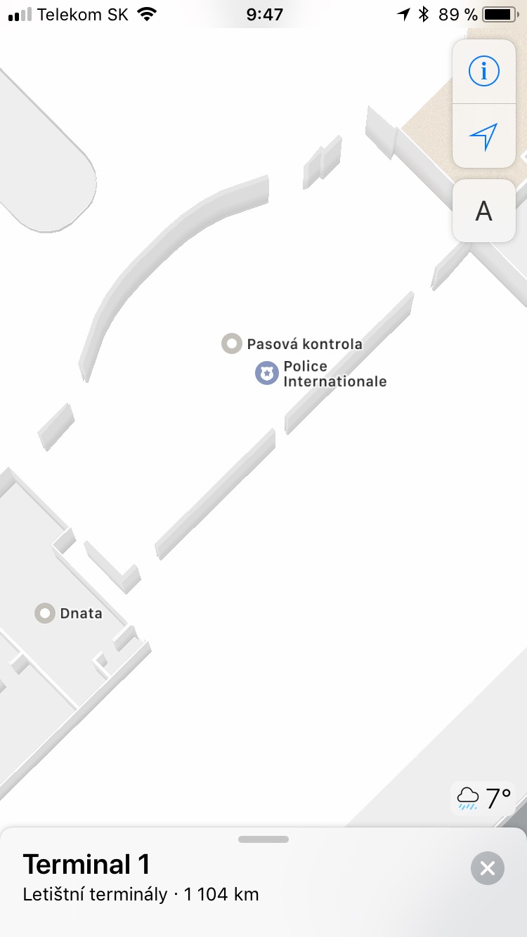 airport security map