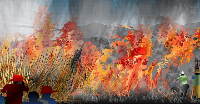 forest fire illustration