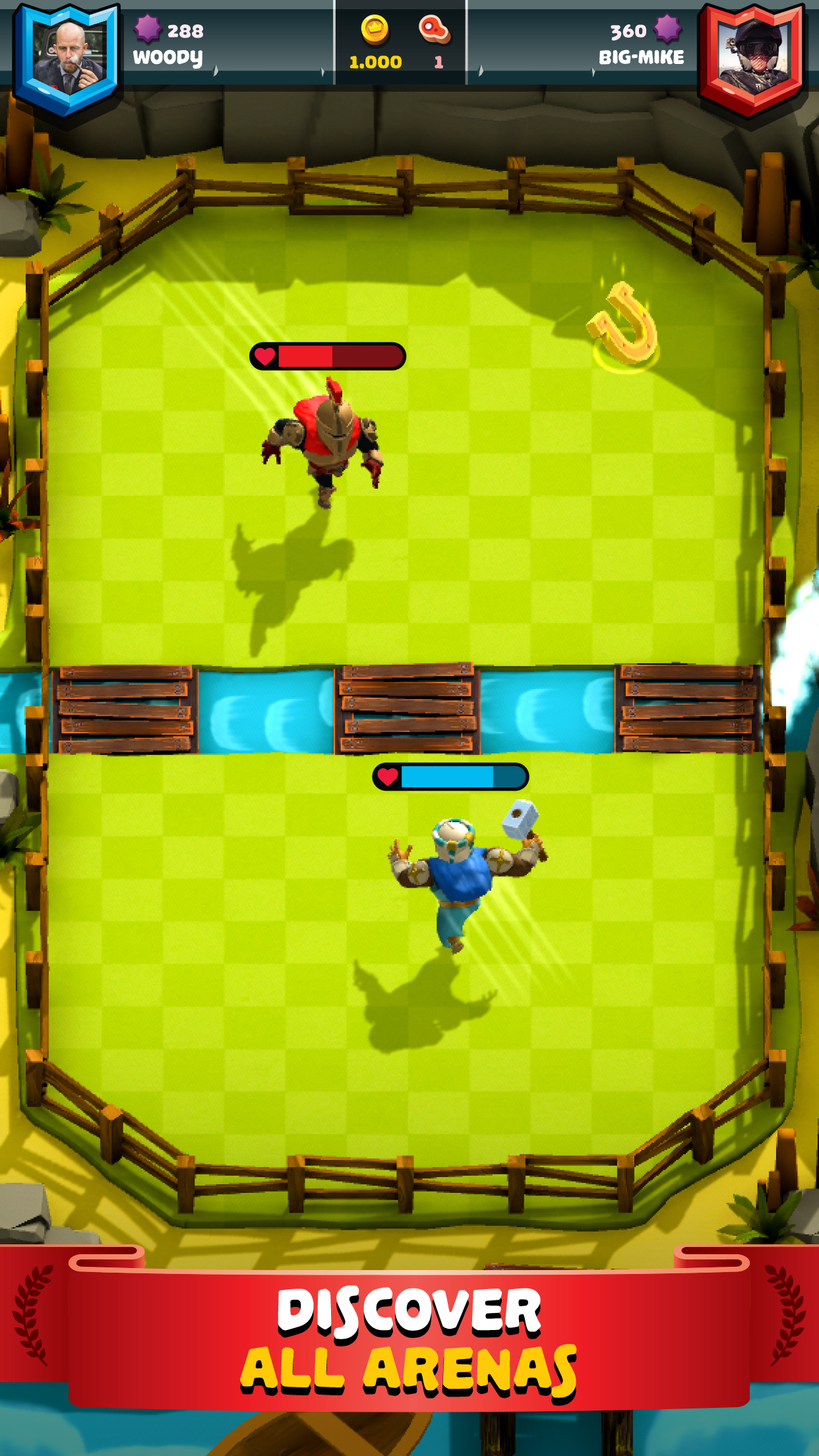 game arena battle scene