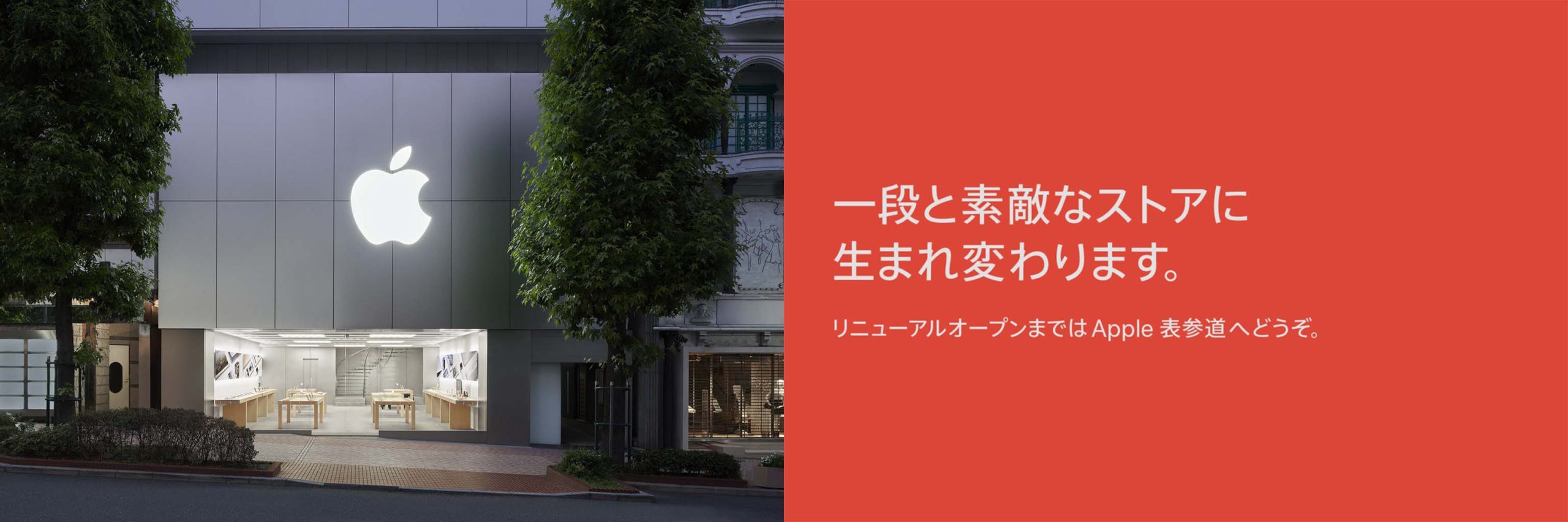 apple store red banner