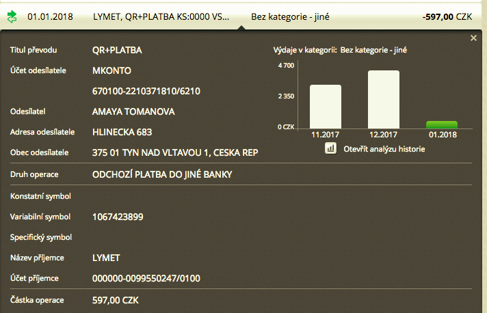 bank transaction details