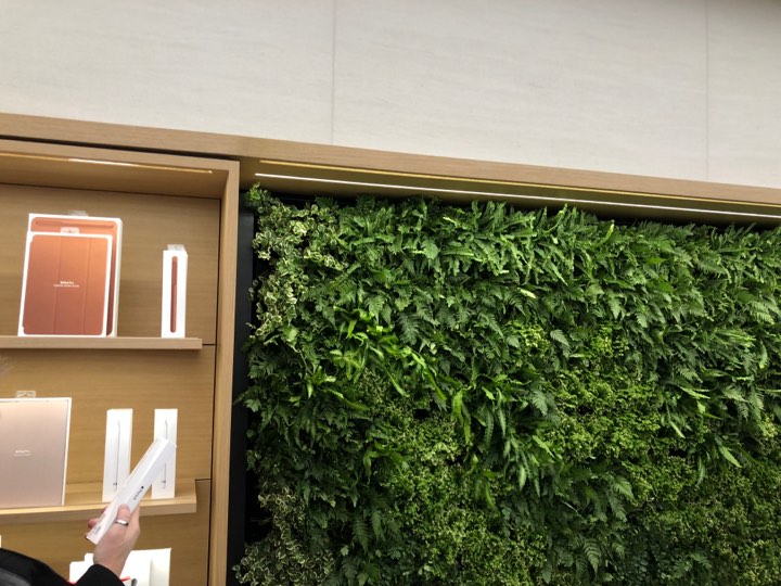 apple store green wall display