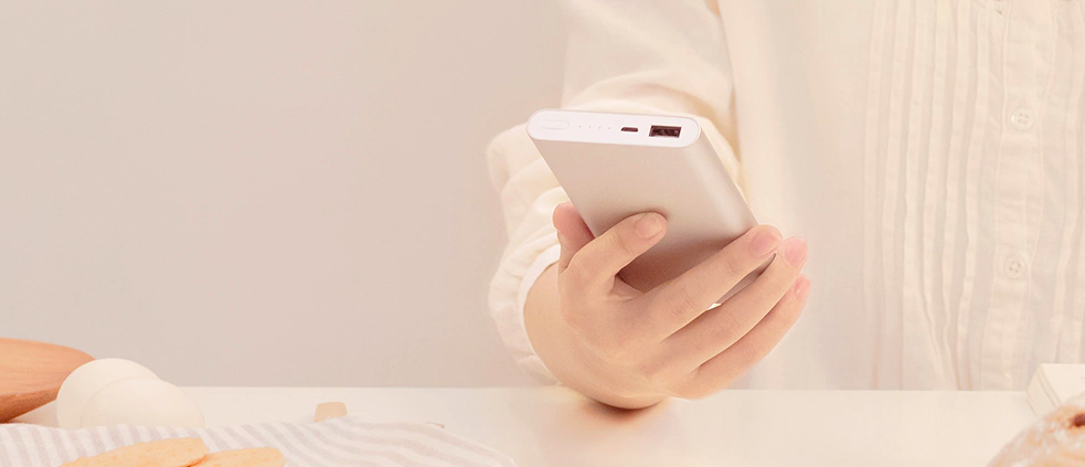 hand holding power bank