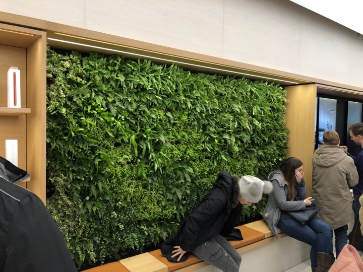 indoor green wall