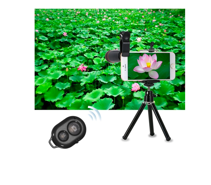smartphone tripod lotus field
