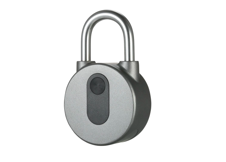 smart padlock standard view