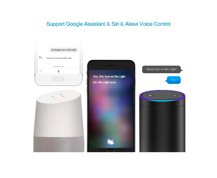 voice control assistants