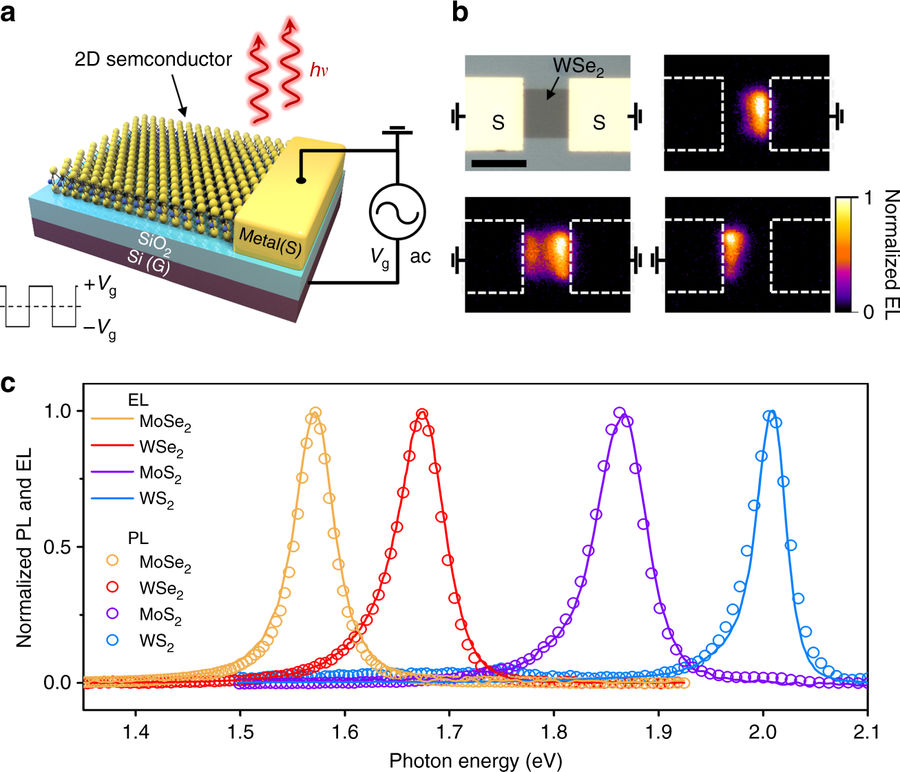 2d semiconductor diagram