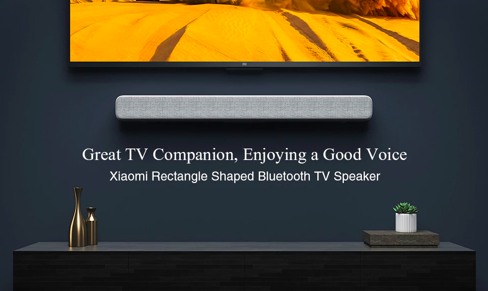 bluetooth tv speaker display