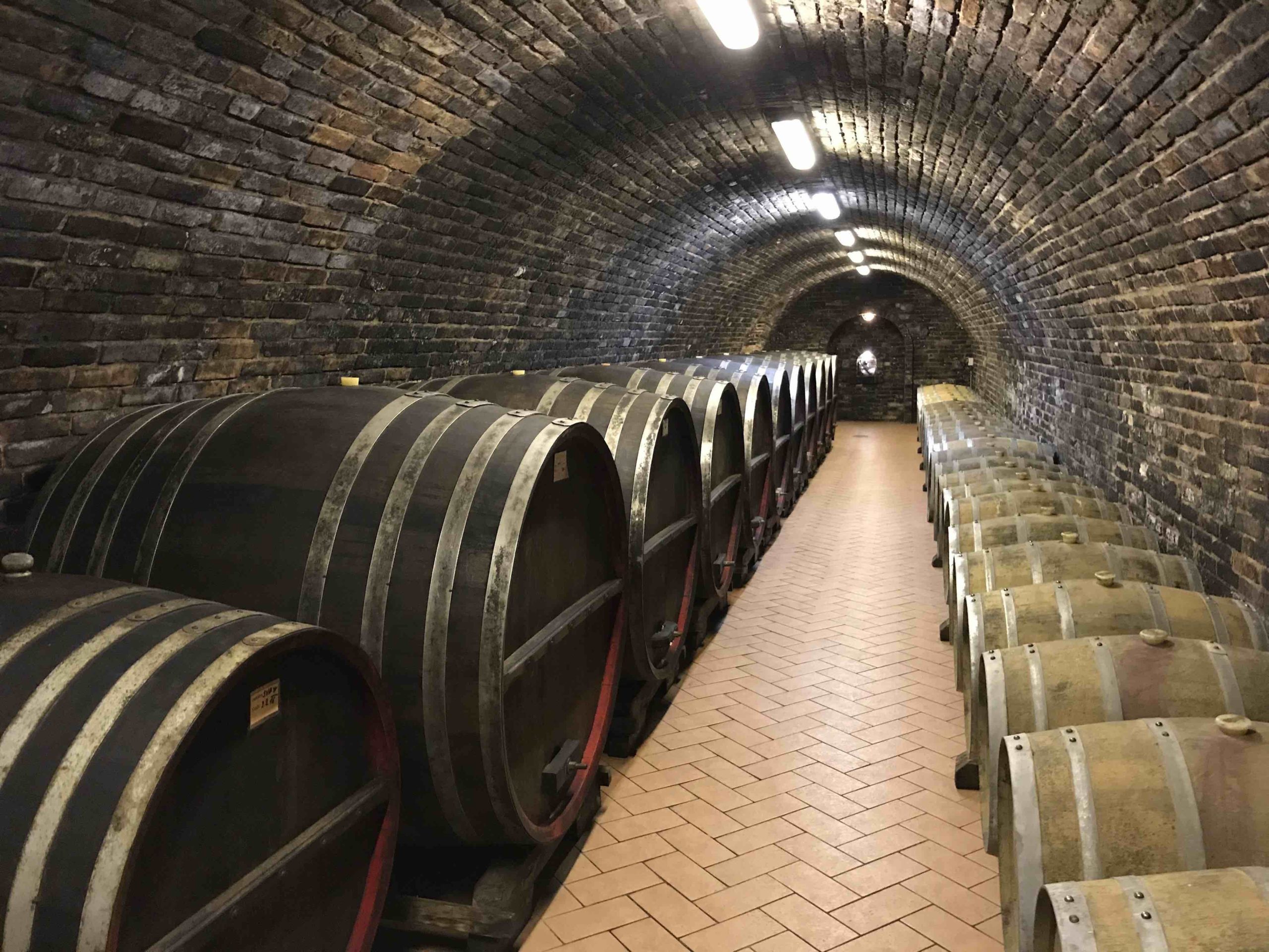 wine barrel cellar