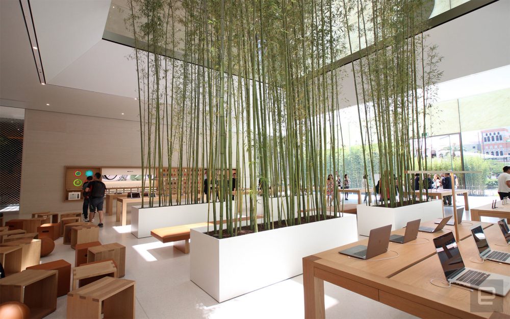 apple store bamboo decor