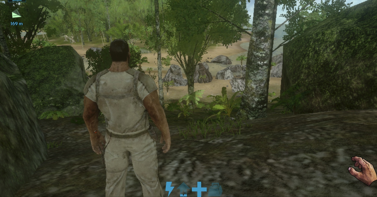 character overlooking beach