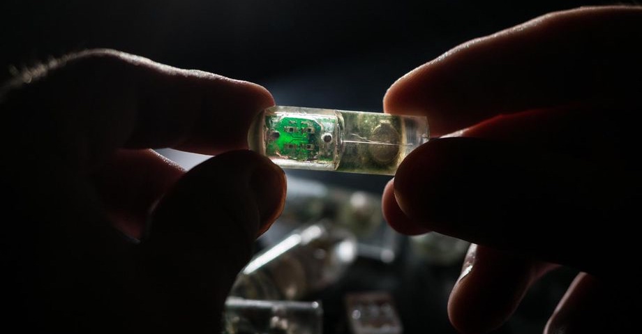 closeup electronic capsule