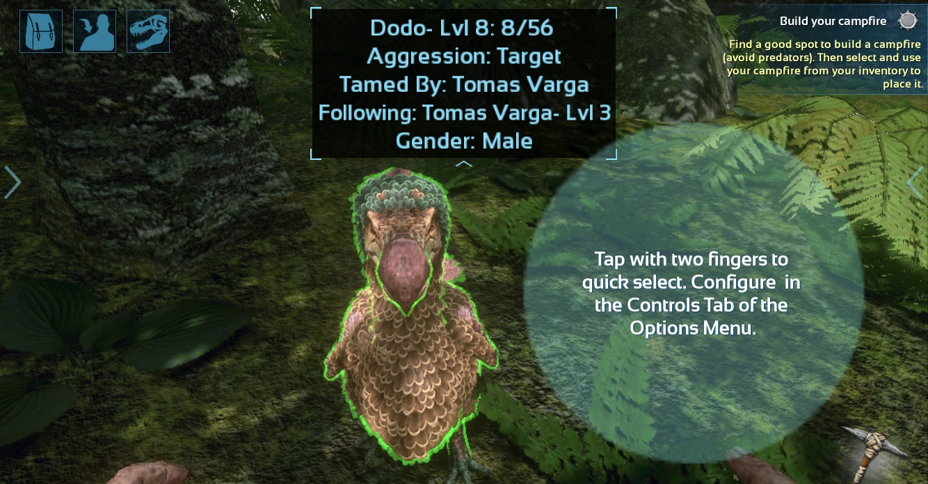 dodo following player