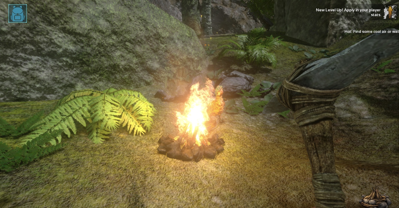 lit campfire closeup