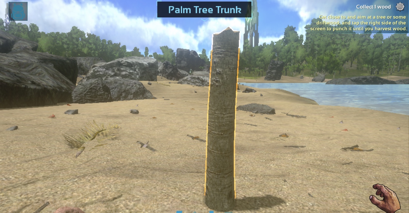 palm tree trunk on sandy beach
