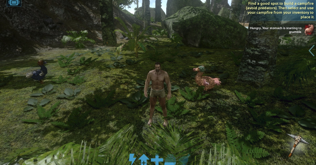 player with dodo in forest