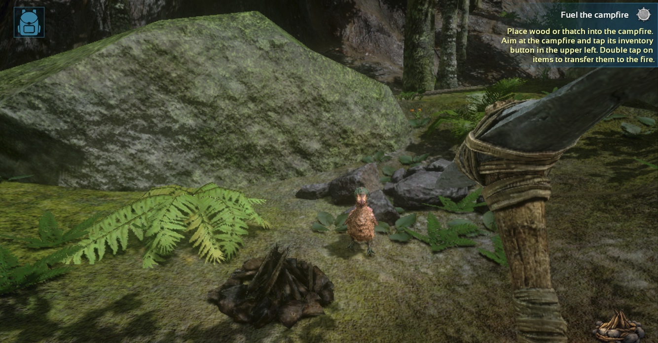 small campfire in forest