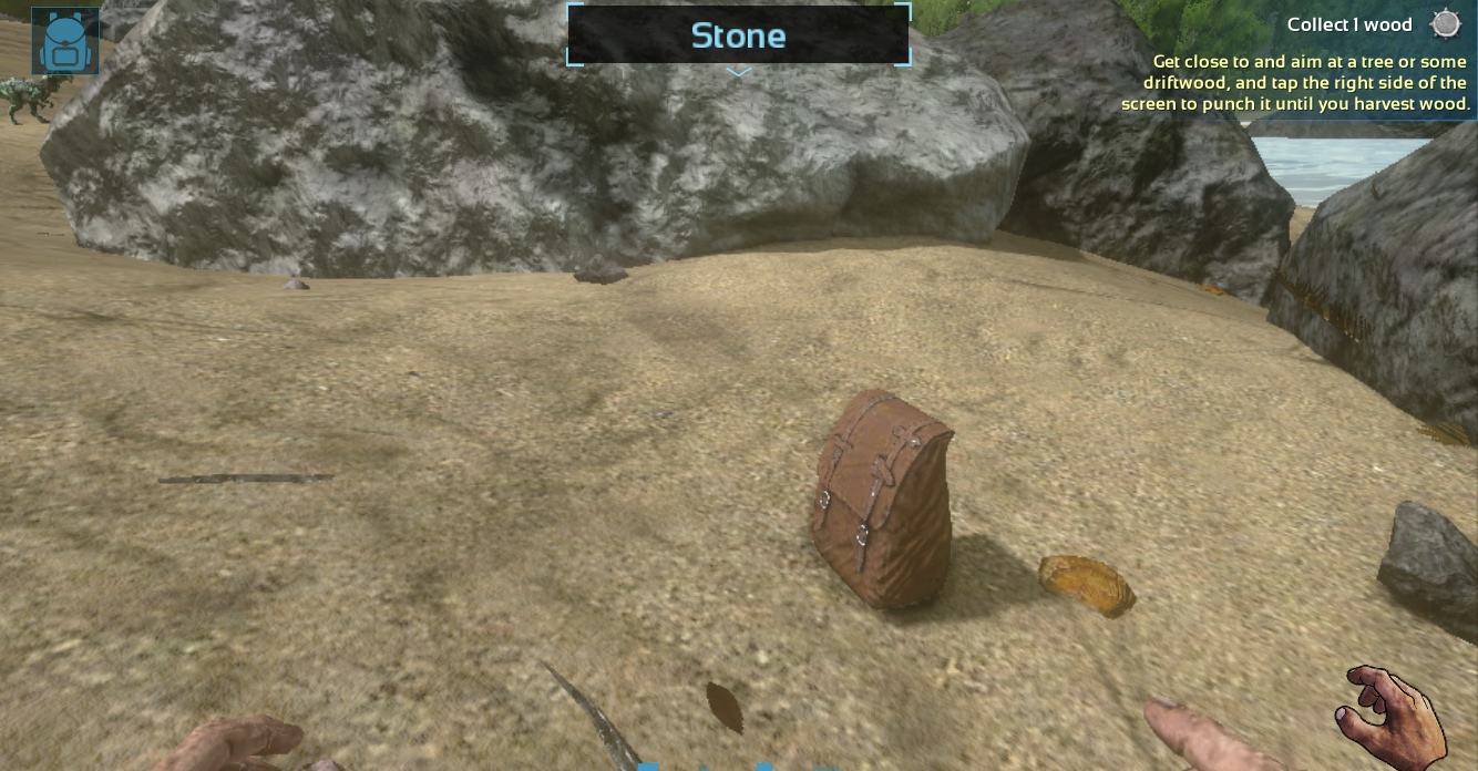 stone on sandy beach