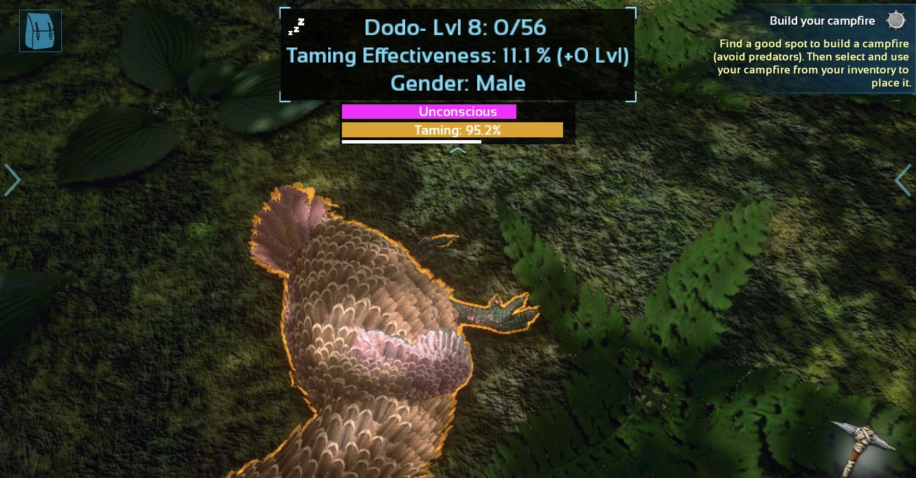 taming dodo dinosaur