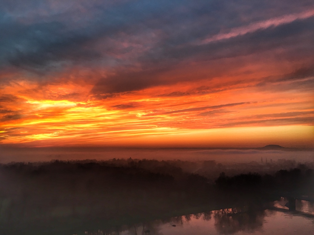 vibrant sunset over forest