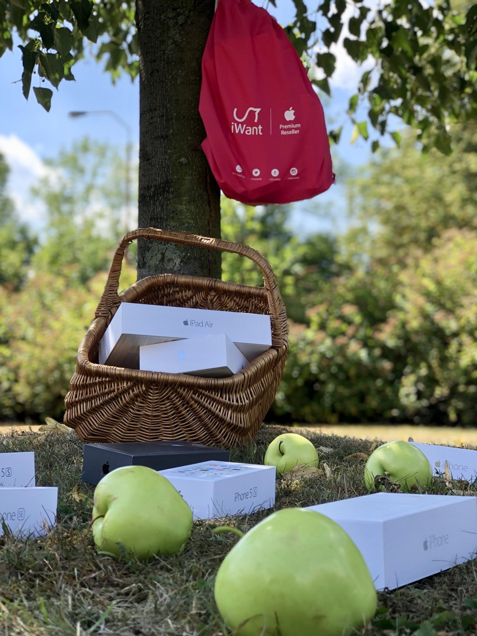 apple products under tree