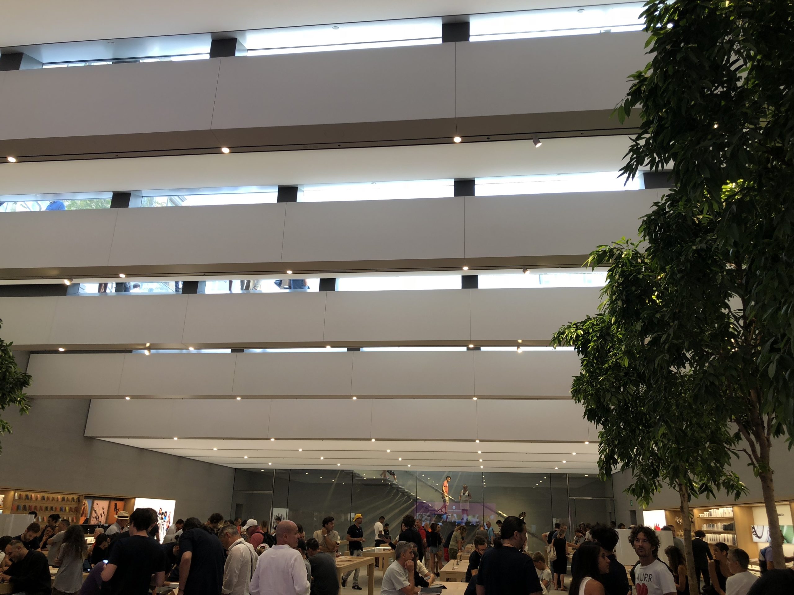 apple store interior ceiling