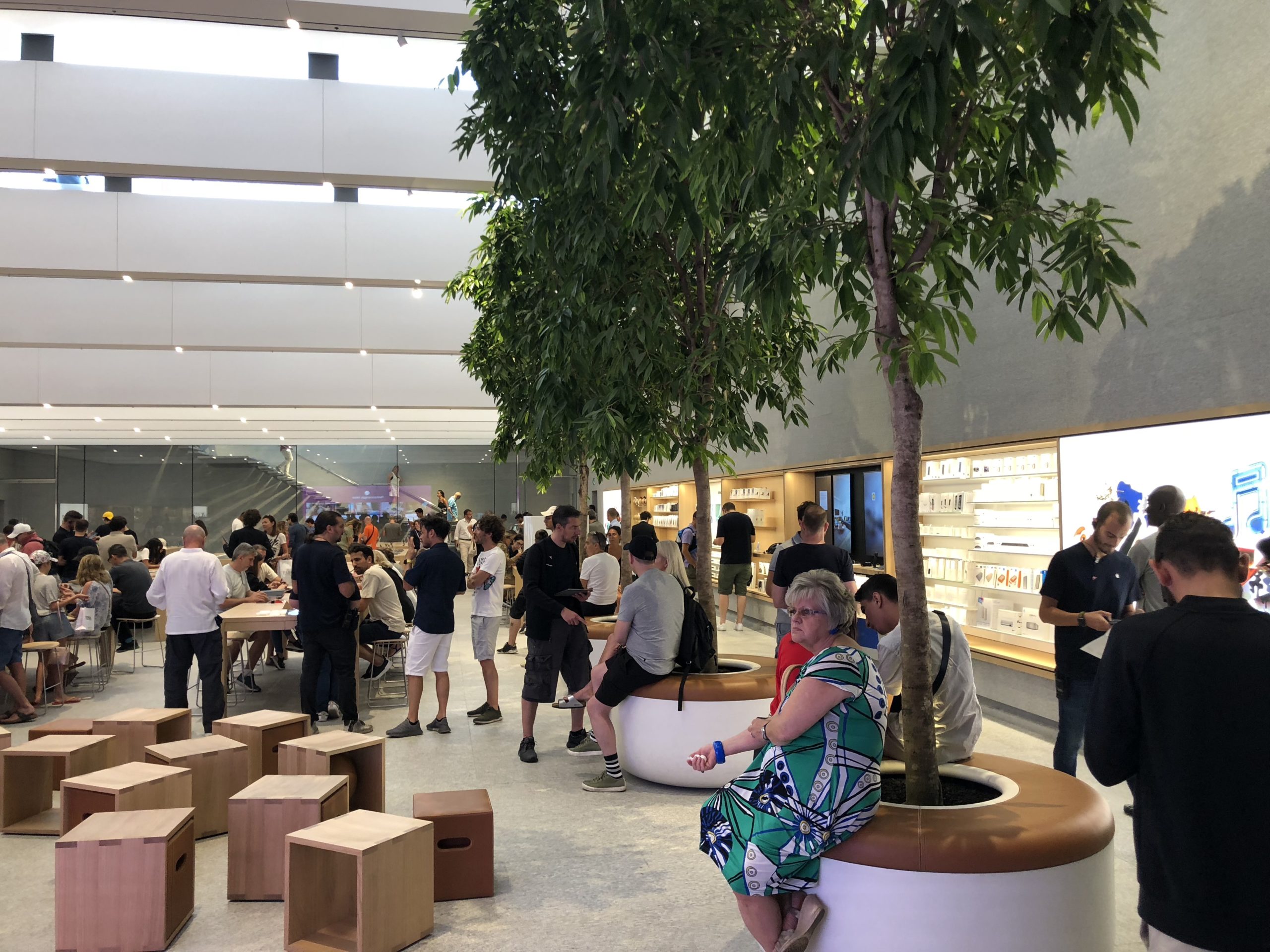 apple store interior trees