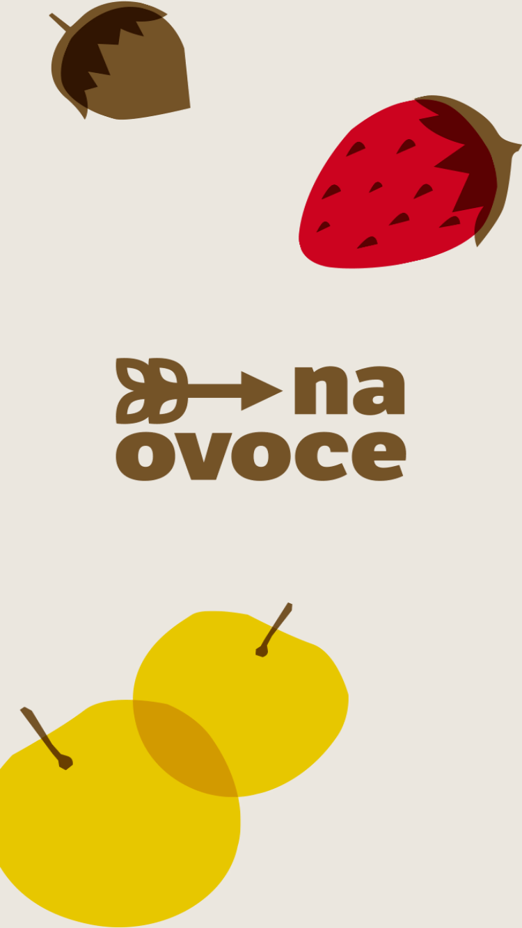 fruit icons na ovoce
