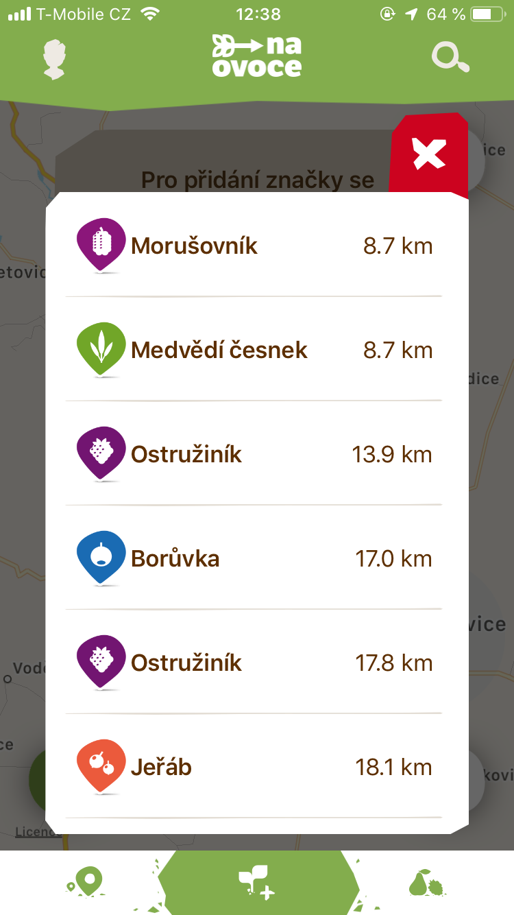 hubble space telescope