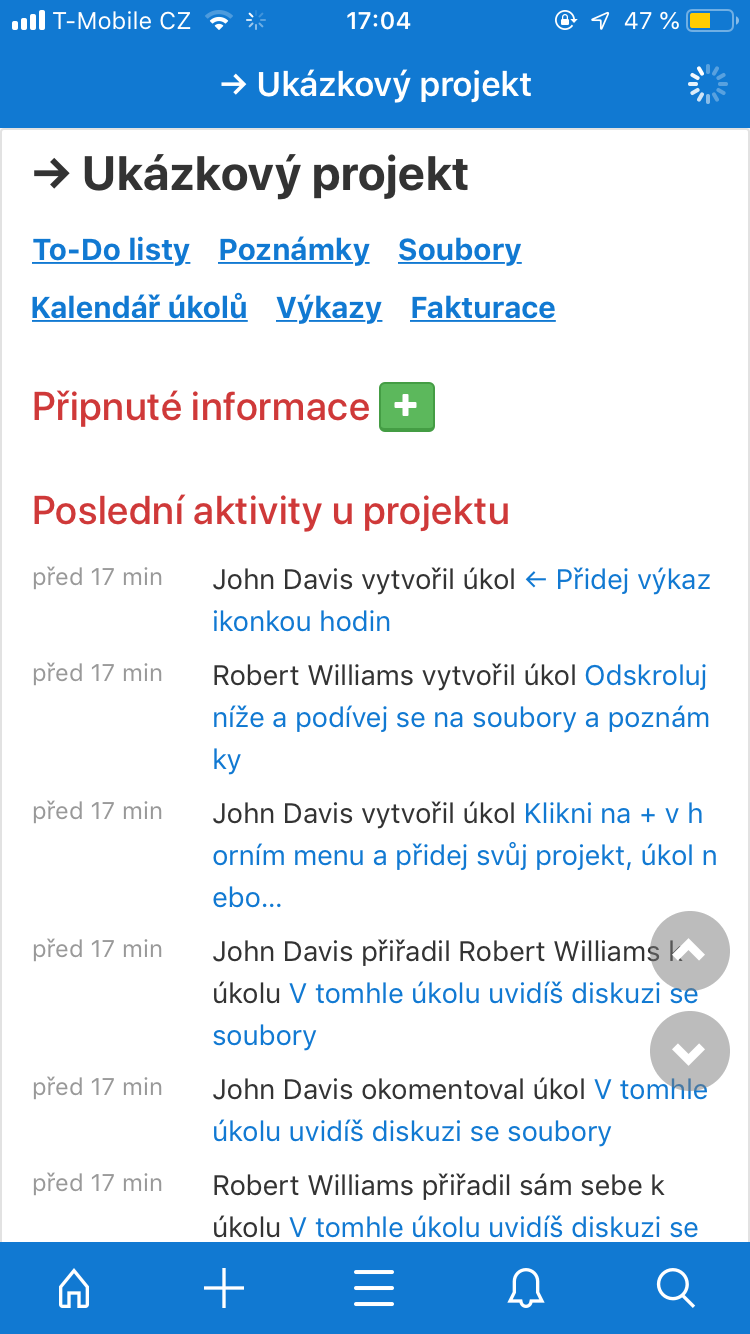 project activity log