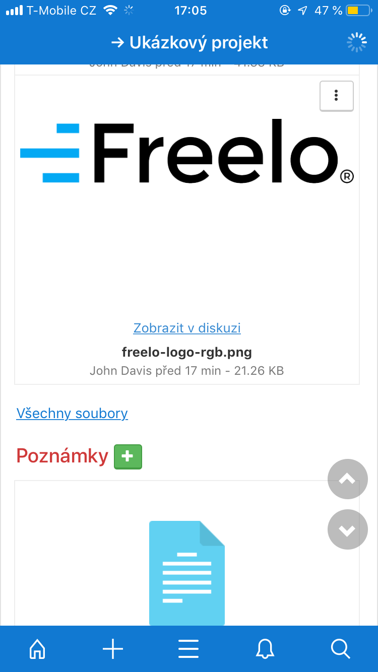 project file preview
