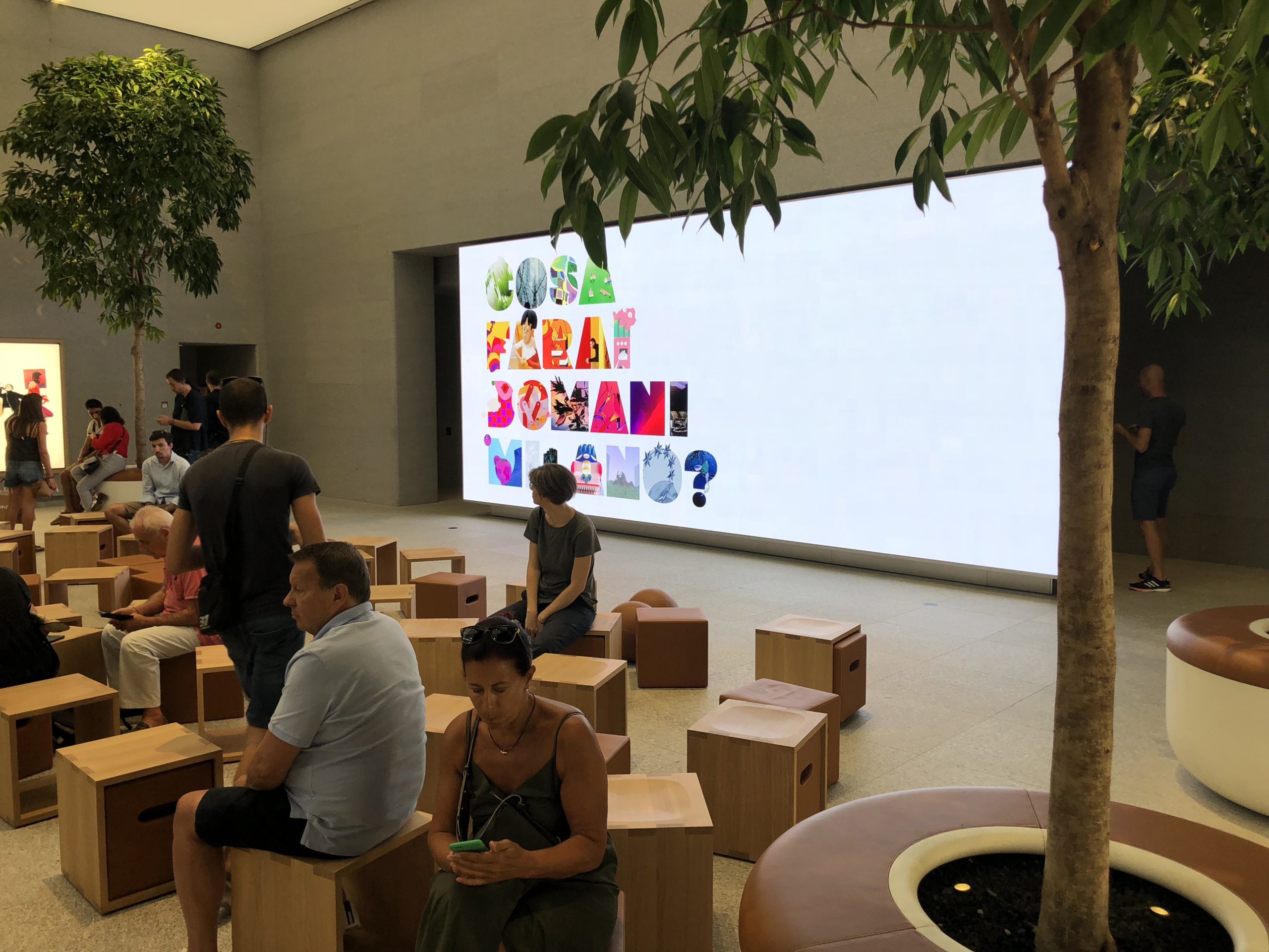 store interior with screen