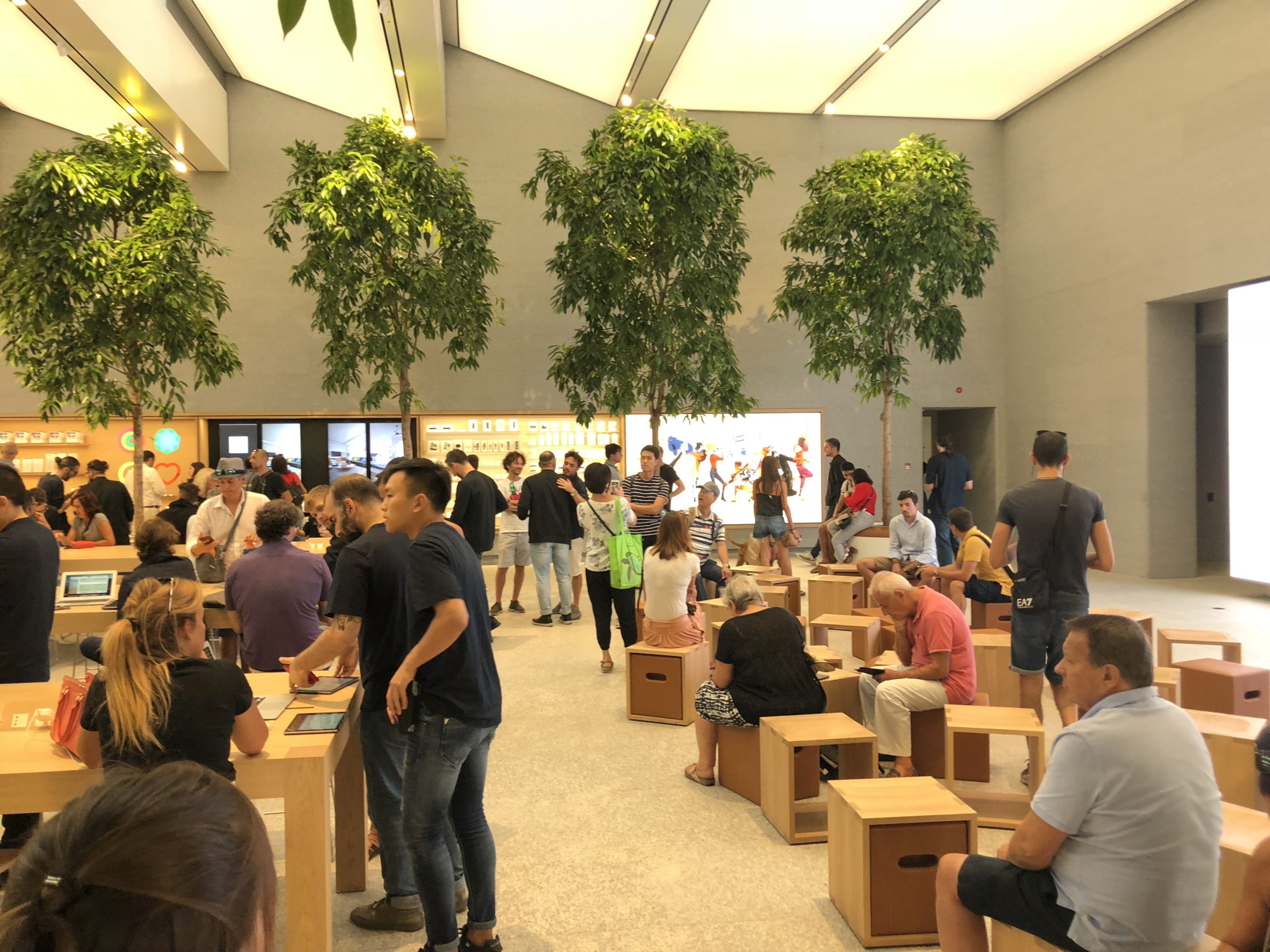store interior with trees