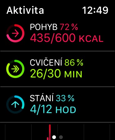 activity tracker summary
