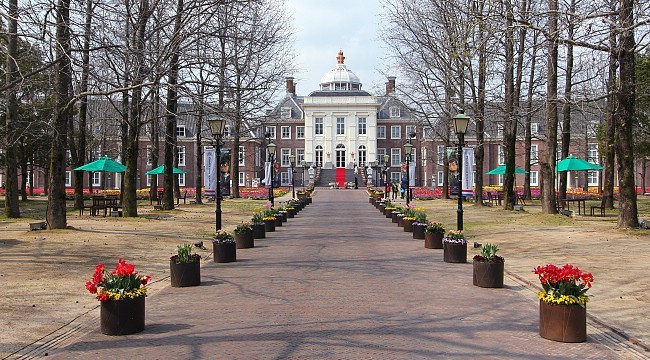 grand building tree lined path