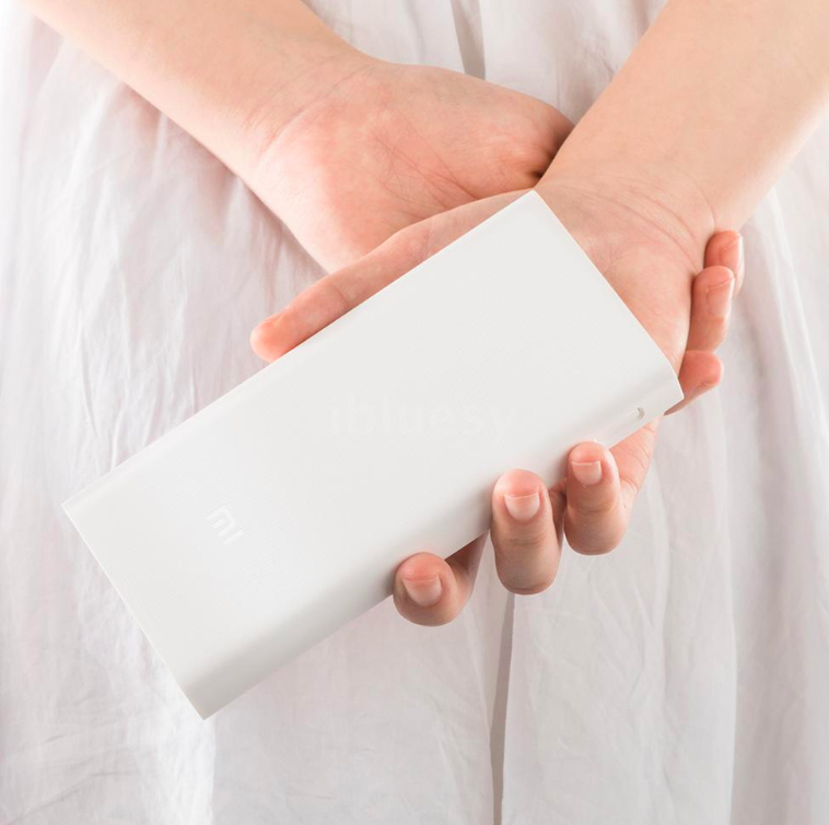 holding white power bank