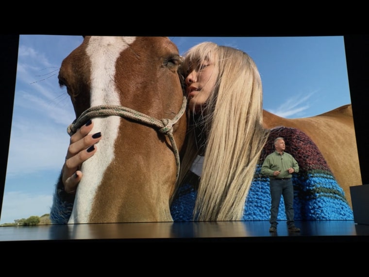 horse closeup portrait