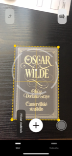 oscar wilde book cover measurement