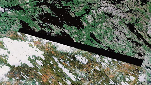 satellite image green landscape