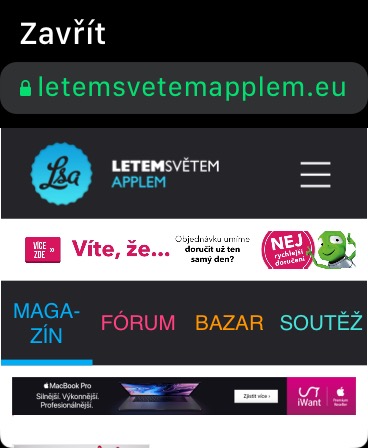 website browser view