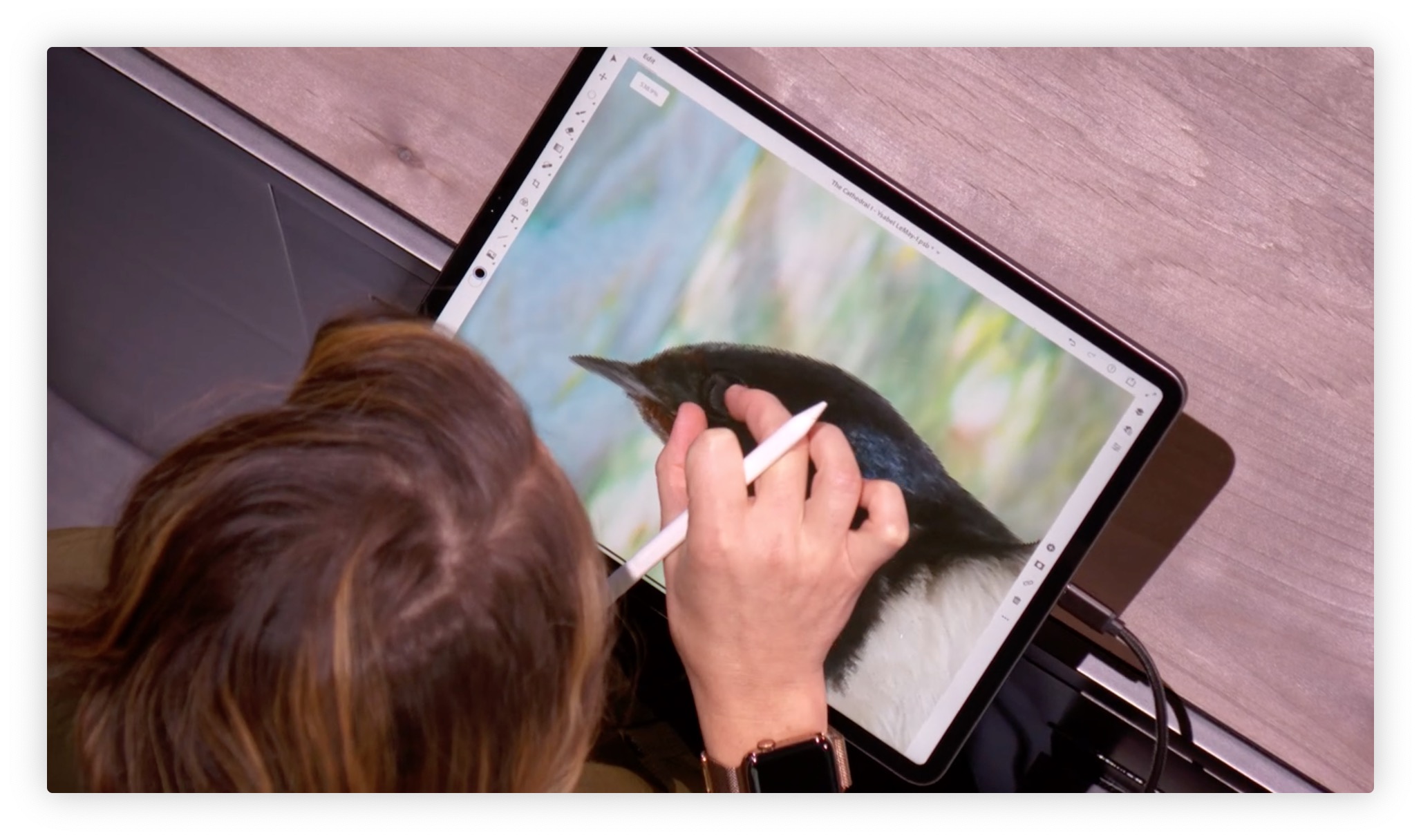 artist drawing bird on ipad