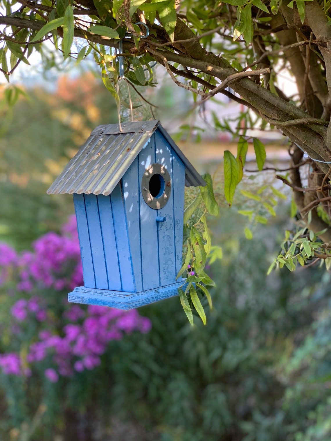 blue birdhouse tree