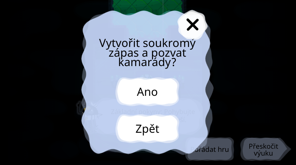 create private match